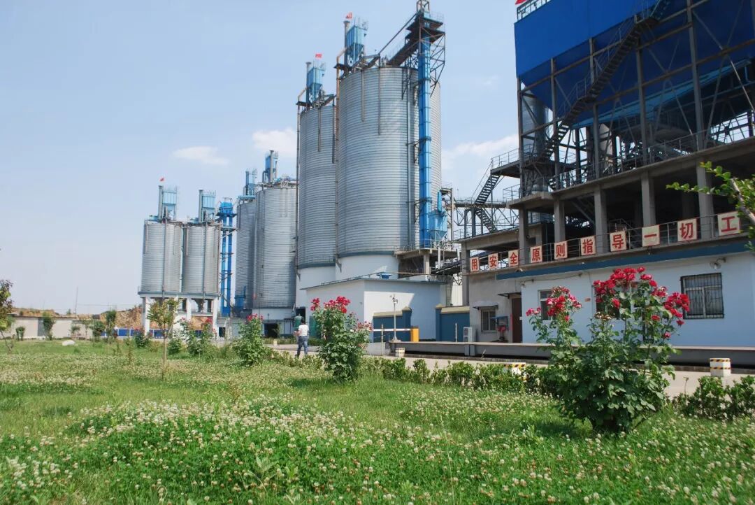 拟定创业项目是大学生创业要走的第一步_小创业加工创业项目_河北沙河创业项目