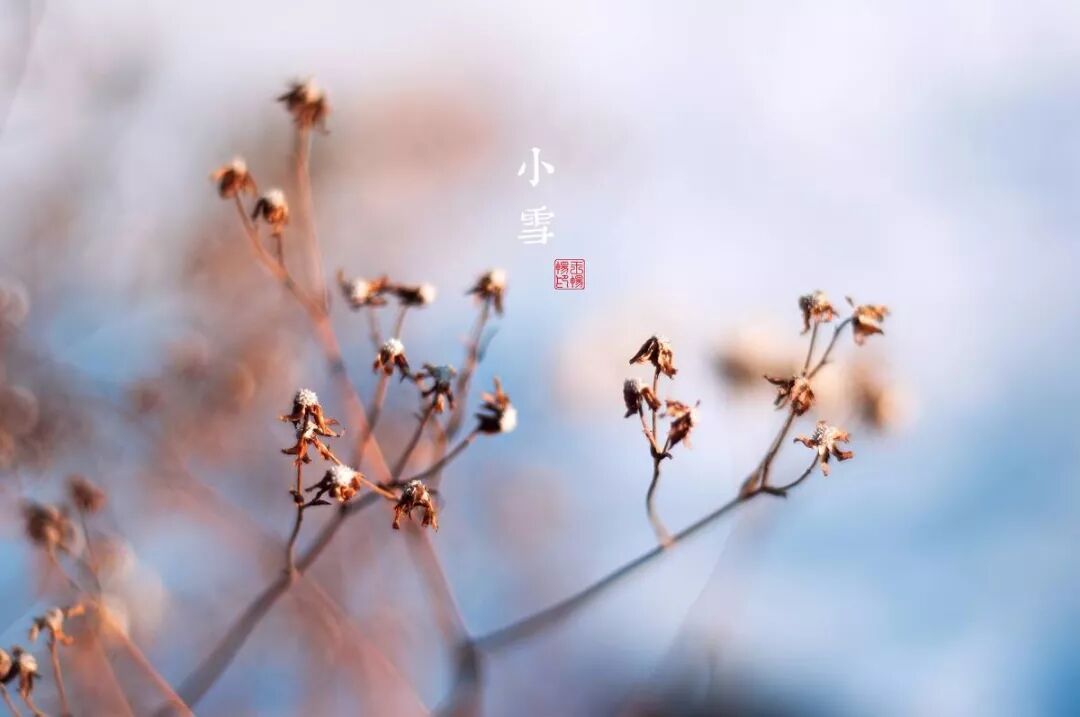 今日小雪，这些养生技巧赶紧学起来！