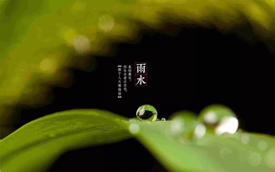 今日雨水：愿一场春雨，洗涤病毒与阴霾