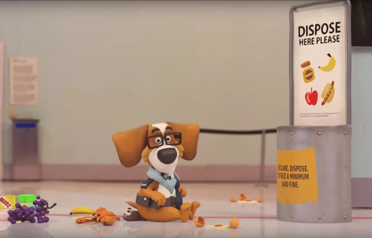 新西兰最全入境指南