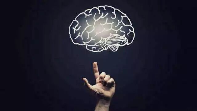 新西兰国立大学巡礼（四）｜2018年惠灵顿维多利亚大学热门专业