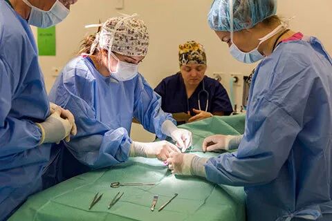 留学高考两不误｜梅西大学给你“N+1”种选择