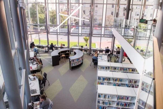 多位CEO联合打call，新西兰未来教育实力超群！