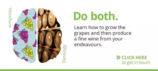 就业率NO.1｜2018年林肯大学抢手专业全剧透