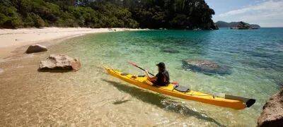 就业率NO.1｜2018年林肯大学抢手专业全剧透