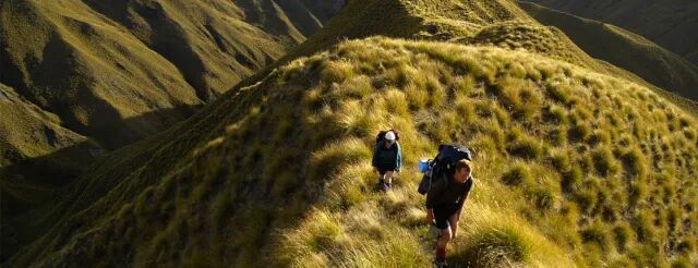 详细数据|2018留学新西兰要多少钱