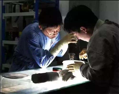 尸体工厂_死尸工厂_尸骨工场