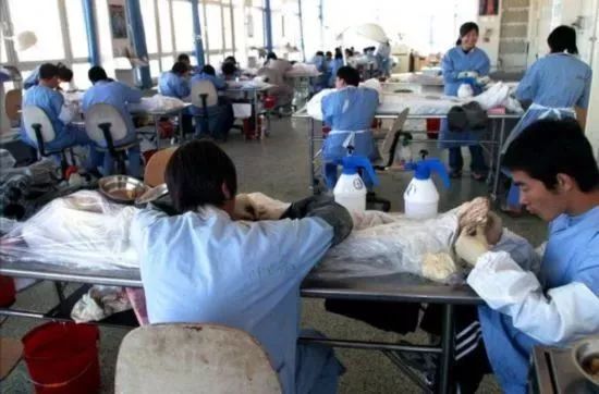 死尸工厂_尸骨工场_尸体工厂