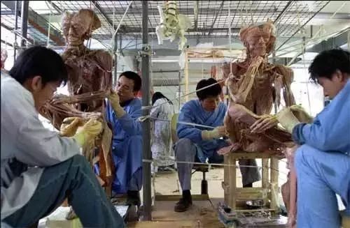 尸骨工场_尸体工厂_死尸工厂
