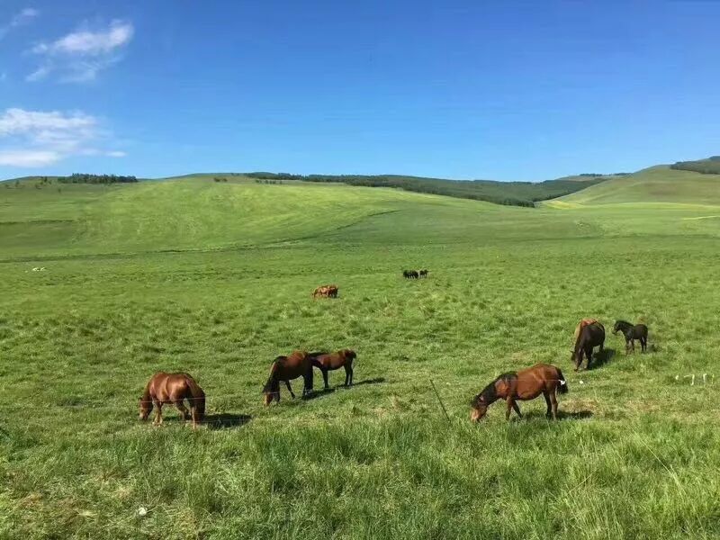 自闭症儿童|世界自闭症日|用音乐聆听自闭症儿童，让星光更加璀