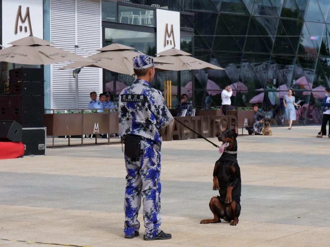 服务涵盖昆明无人机培训、昆明保安服务、昆明物业服务、昆明宠物医疗美容、昆明职业技能培训服务、昆明广告策划、昆明安防监控。