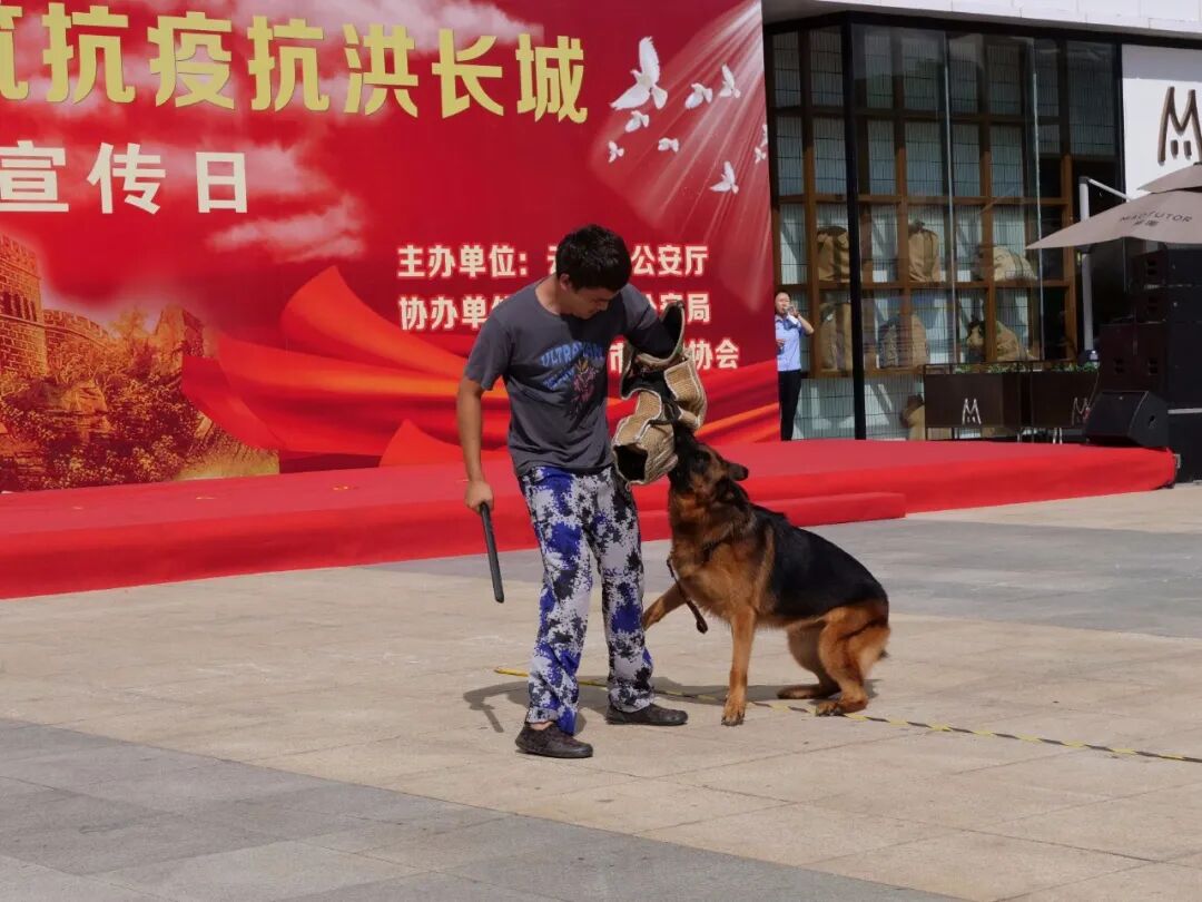 服务涵盖昆明无人机培训、昆明保安服务、昆明物业服务、昆明宠物医疗美容、昆明职业技能培训服务、昆明广告策划、昆明安防监控。