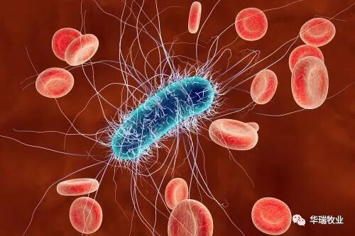 默认标题_自定义px_2020-07-22-0 (2).jpeg