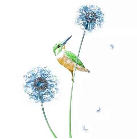 阳历和农历_阳历农历阴历的区别_阳历农历转换查询器