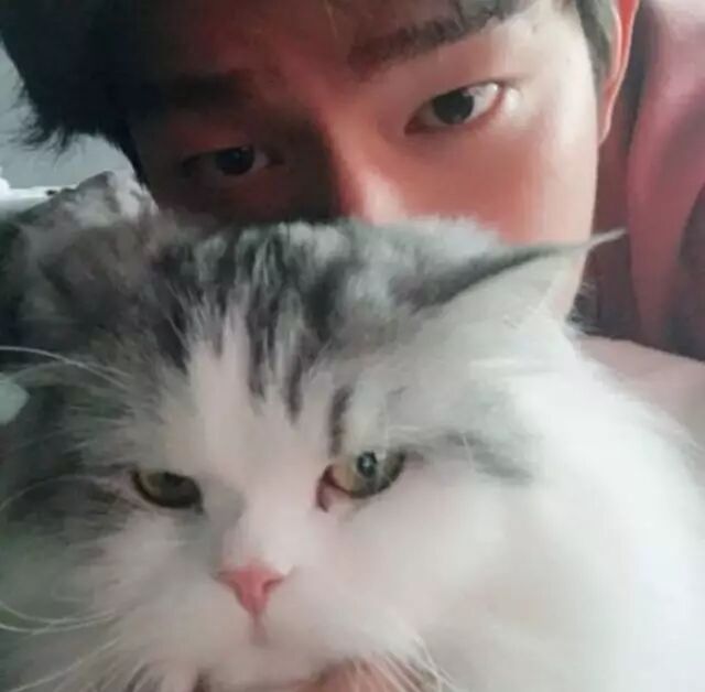 韩娱 羡慕哭 它们是韩娱圈 最幸运 的宠物 好想变成宠物赖在本命身边啊 奋斗在韩国 微文库