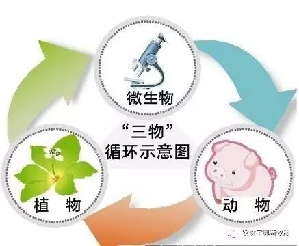 收入证明_收入保障系统(3)