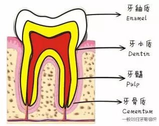 嫌根管治疗麻烦又贵，请牙医拔患牙。这种做法可行吗？
