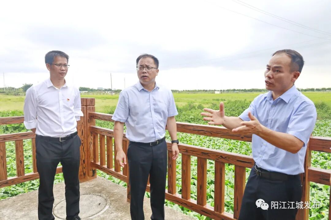梁小昌一行先后前往城北街道龙涛村,中洲街道麻布演村