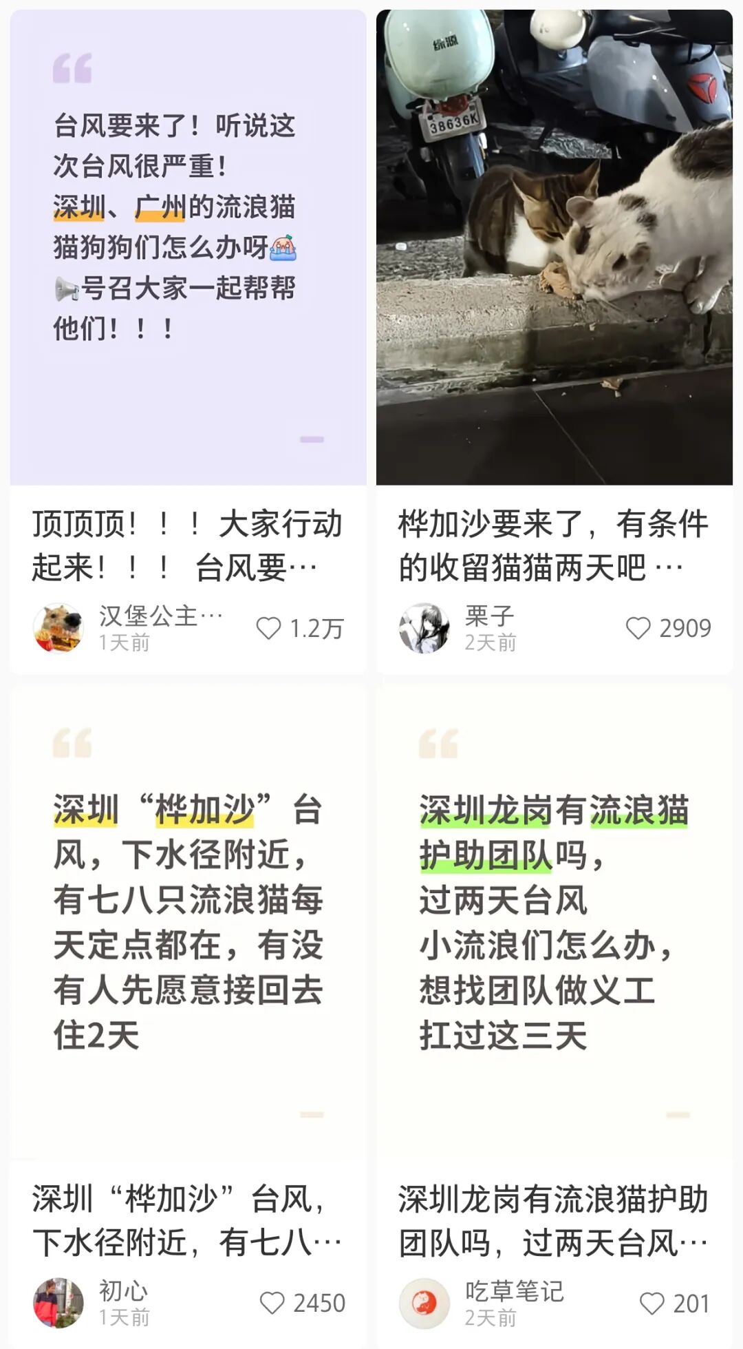 深圳不语只是一味提前砍树