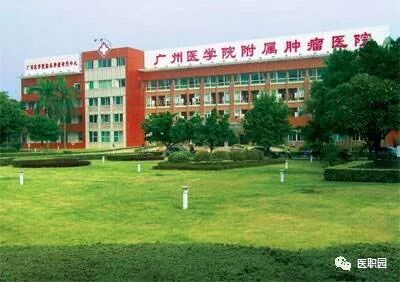 中山属于哪个省_中山是省还是市_中山属于广东省哪个区域