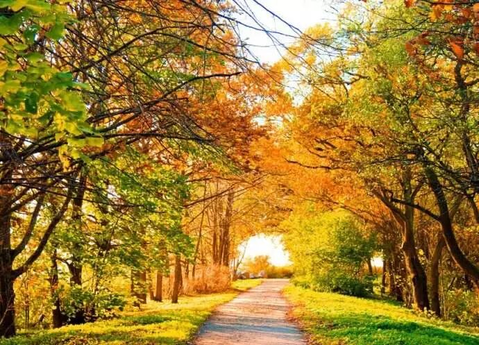 【鼻炎·养护】秋天鼻子干燥出血怎么办?