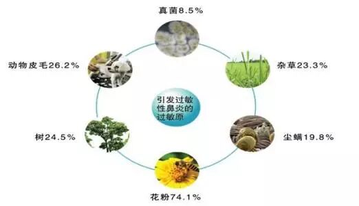 【鼻炎·养护】秋季要防过敏性鼻炎