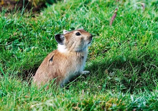 世界水日,守护生命之源| 传祺争当中华水塔环保使者
