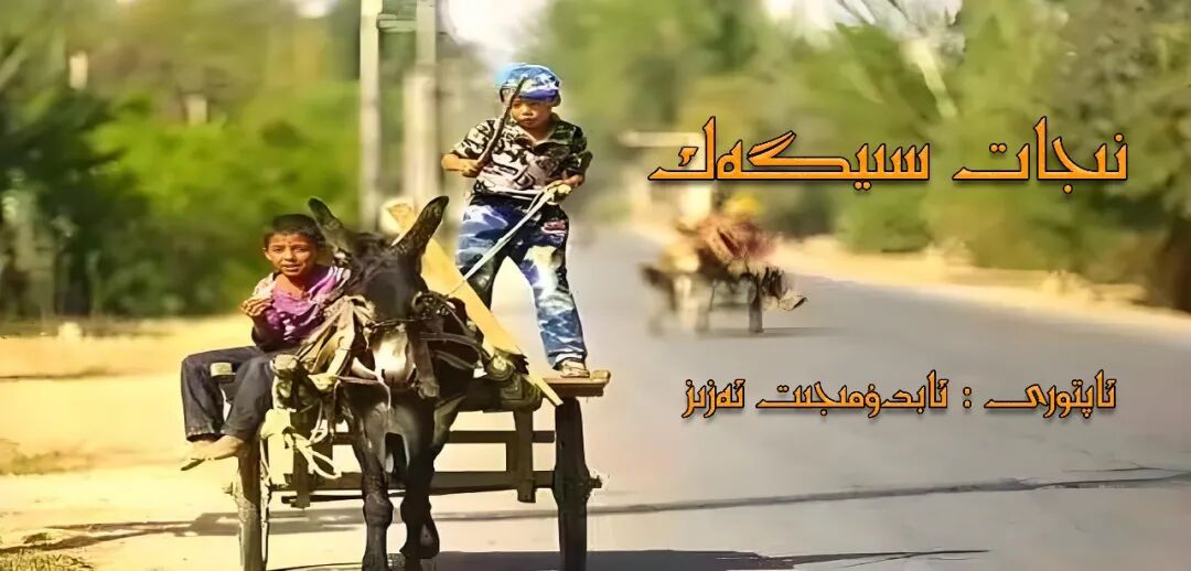 نىجات سىيگەك