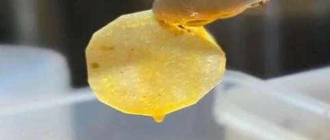 讨论耙土豆和脆土豆哪个更好吃，是四川人一生的命题