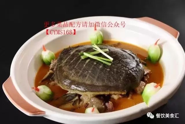 传世红煨甲鱼