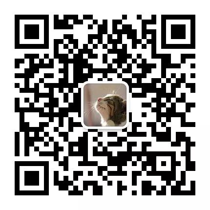 网络热点新闻2021_新闻热点网络流行词_网络热点新闻