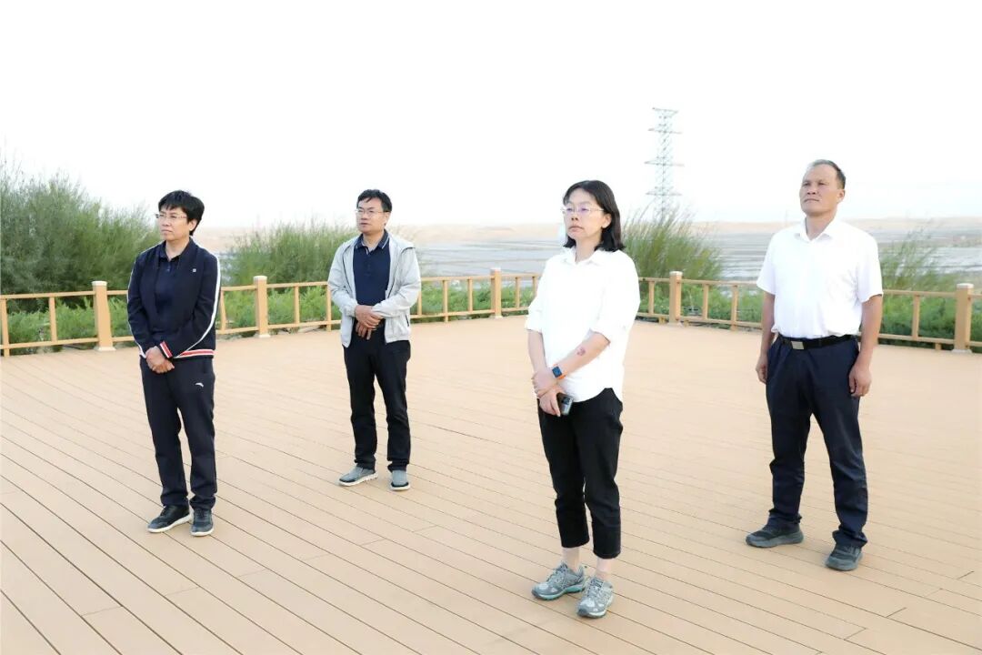 黄委会副主任徐雪红一行来我旗调研黄河流域生态保护工作