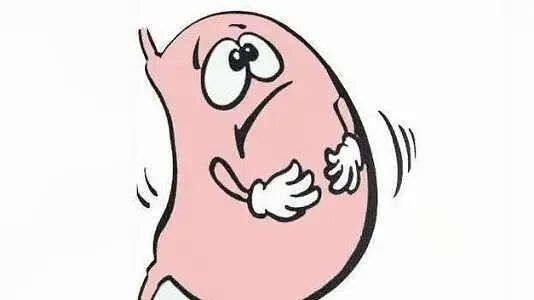 一次性胃管干什么用的朱氏风物 ｜ 东贝一次性使用胃管，不辜负美食的乐趣_https://www.jmylbn.com_新闻资讯_第3张