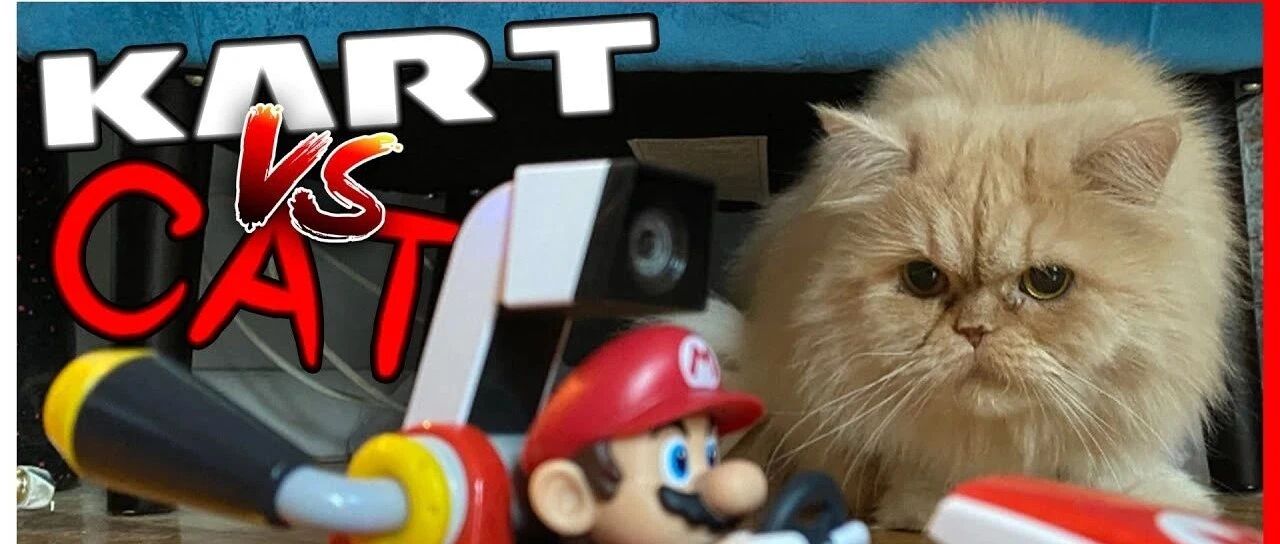 对于铲屎官来说，AR马车简直乐趣无穷！