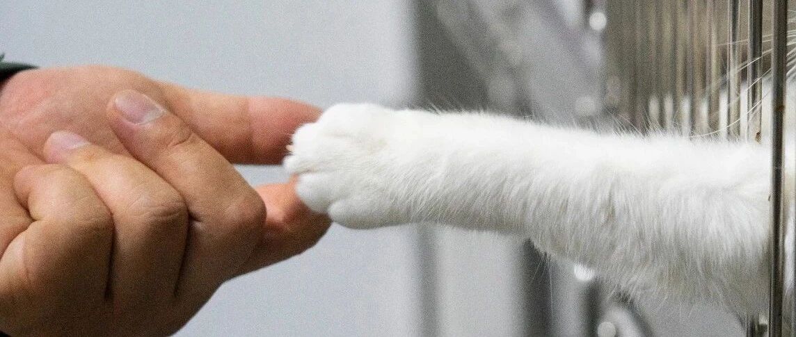 新朋友来了？不！我们还是你的老朋友！