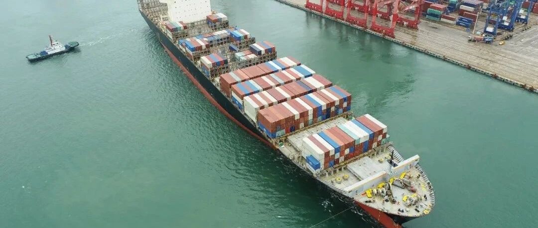 高增长！能否延续？