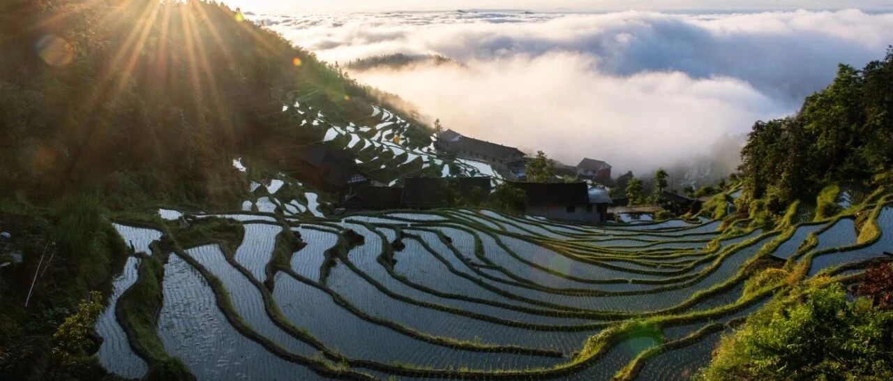 重磅！一天新增3个自贸区，又要“炒地图”？概念股在此