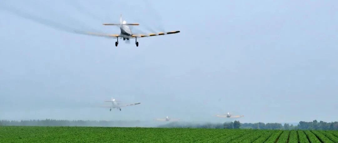 重磅！中央一号文件出炉！这个板块站上风口，谁将受益？