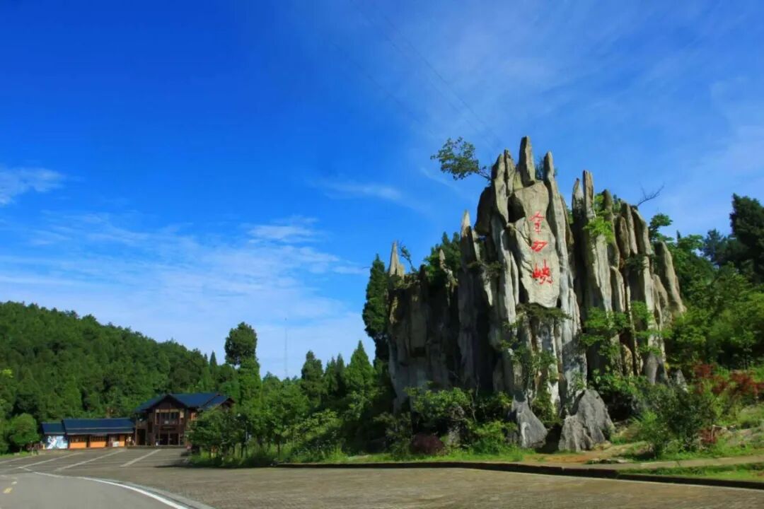 微信图片_20260225153031_137_781.jpg