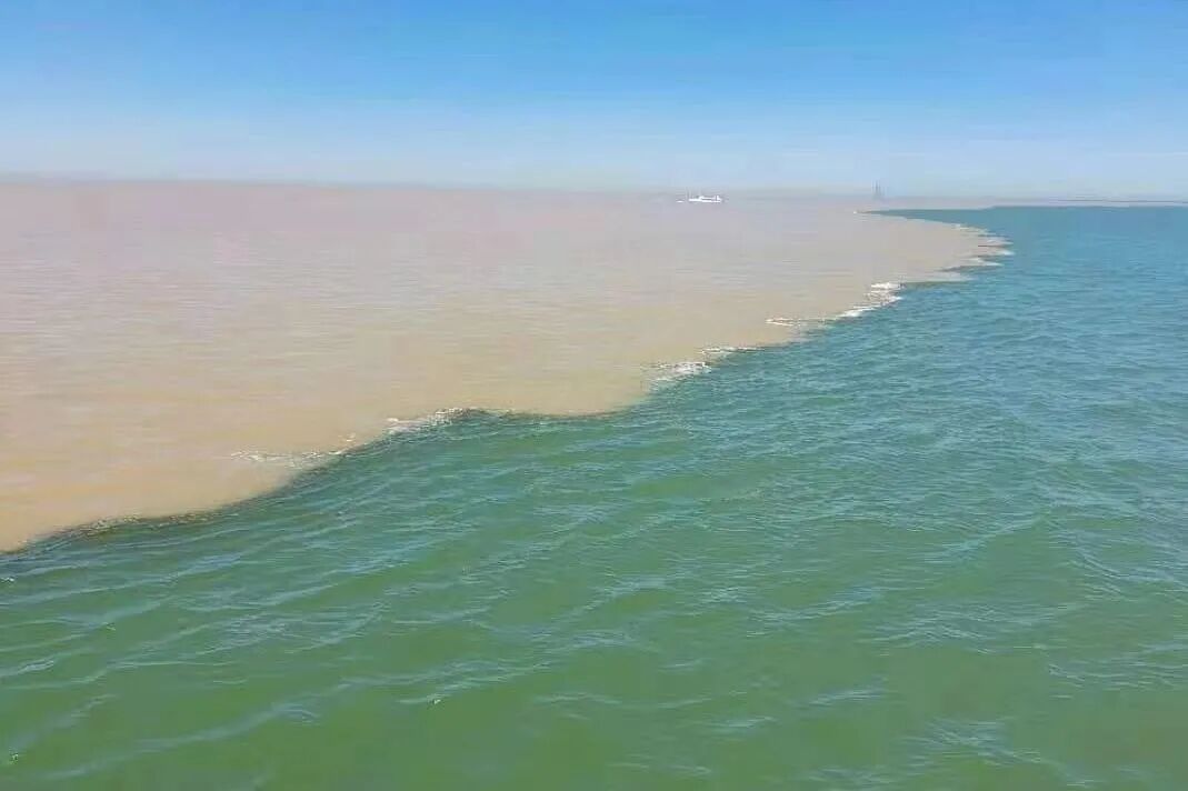 阳春三月河海相拥黄河游船开航啦