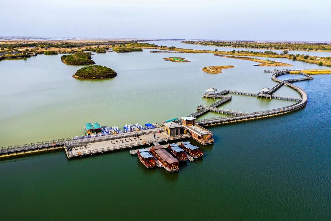 黄河口生态旅游区老师好