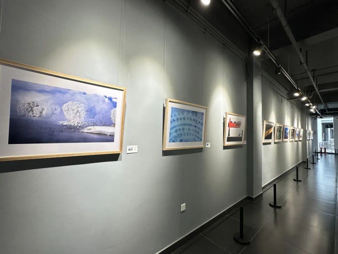 展讯 | “北疆光影·幸福无处不在”——第26届内蒙古自治区摄影艺术展包头巡展在包头文艺家之家开展 第2张