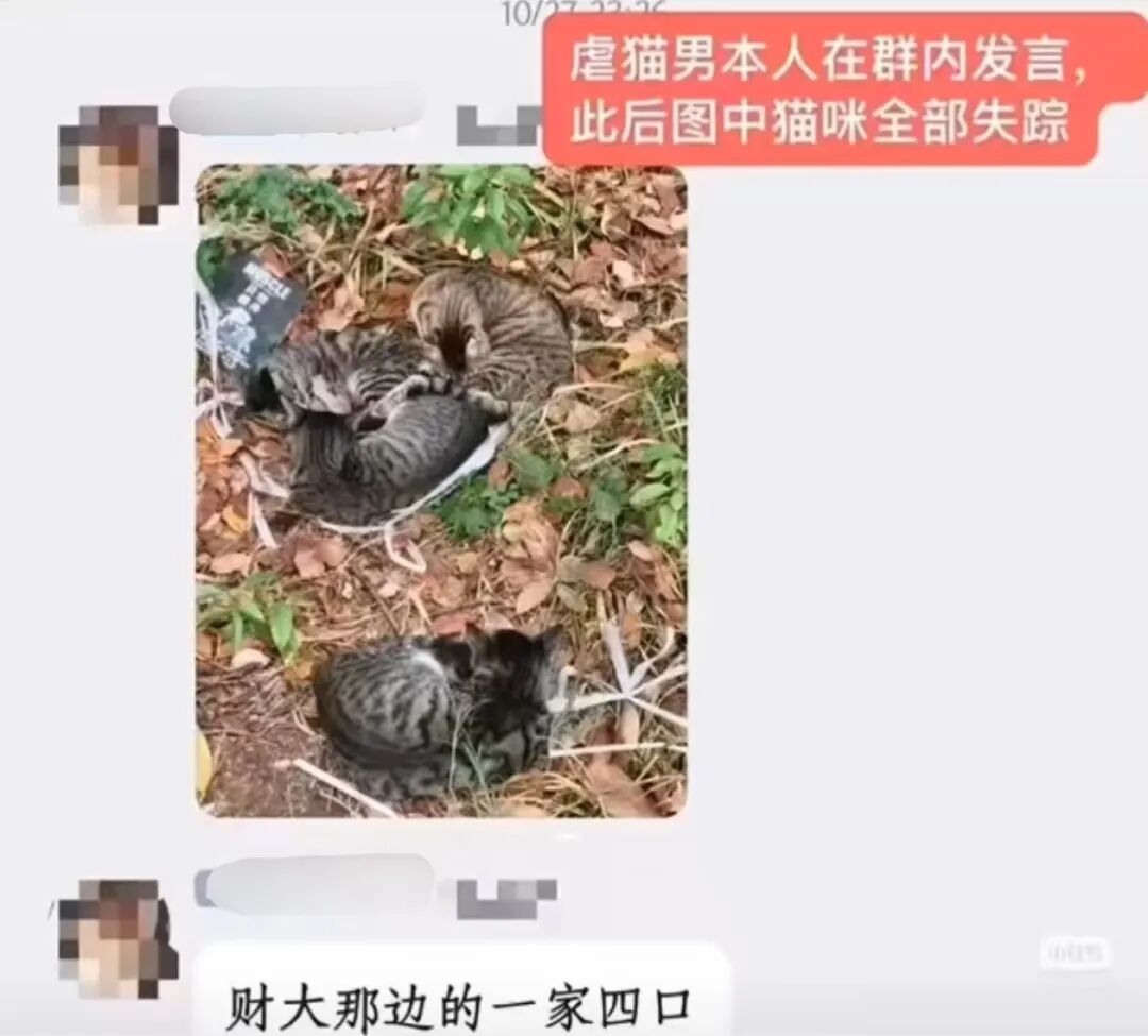 虐猫考生被取消招聘资格