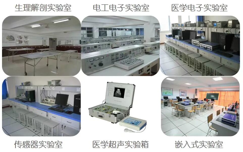 医疗仪器为什么贵专业解读 ｜ 生物医学工程专业介绍_https://www.jmylbn.com_新闻资讯_第4张