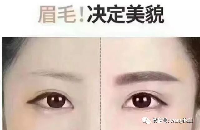 眉毛与人生 芳疗知识库 微信公众号文章阅读 Wemp