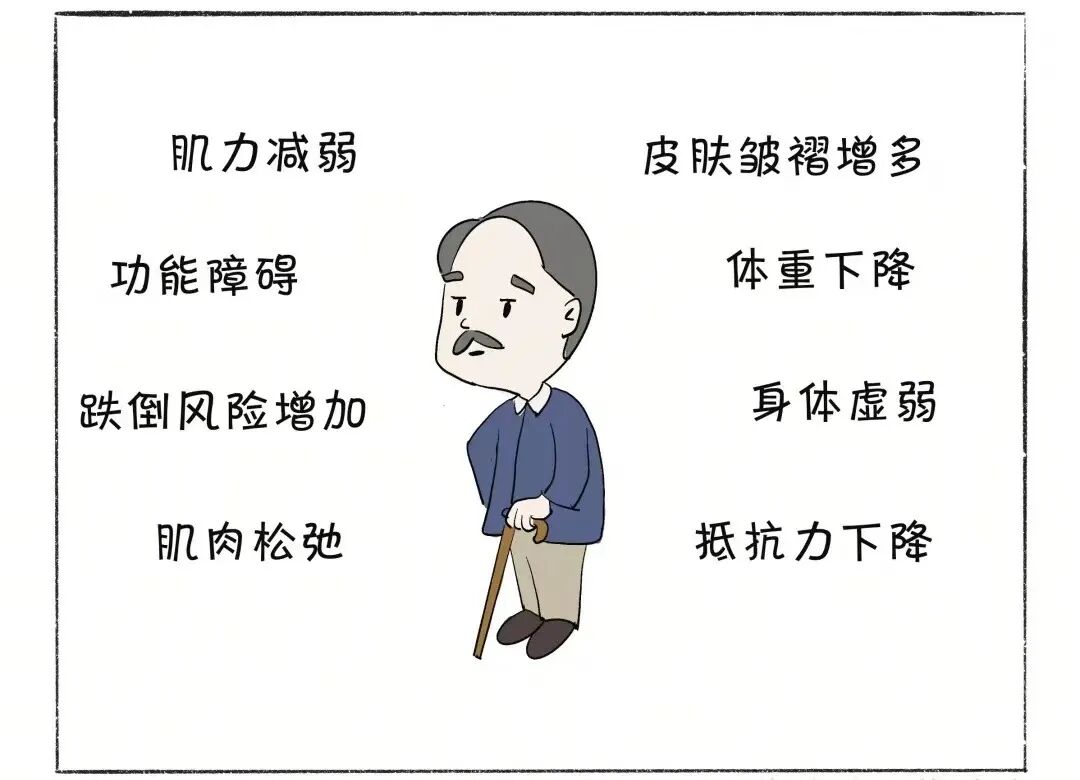 inbody仪怎么调人体成分分析仪，帮你全面了解自己的身体_https://www.jmylbn.com_新闻资讯_第3张