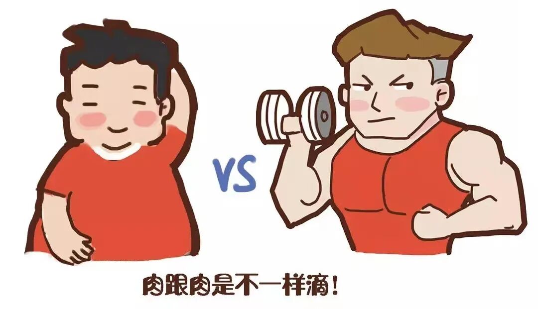 inbody仪怎么调人体成分分析仪，帮你全面了解自己的身体_https://www.jmylbn.com_新闻资讯_第2张