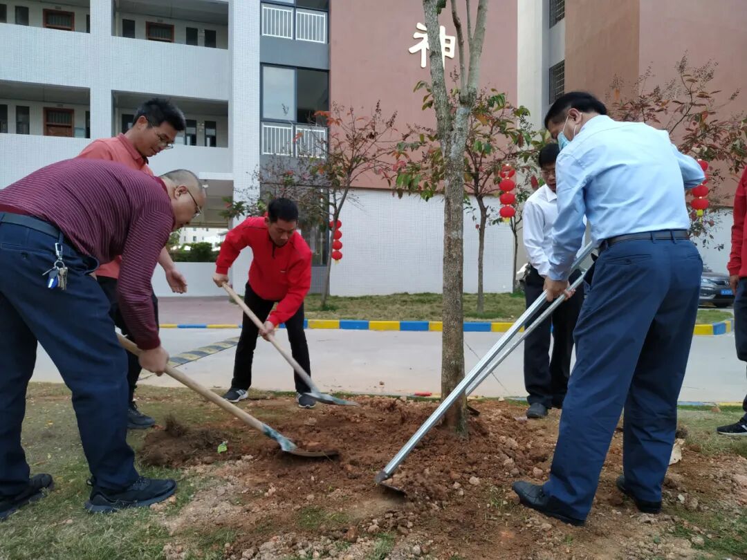 庄山中学开展我为校园添新绿系列植树活动