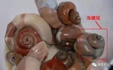 青口(海虹)