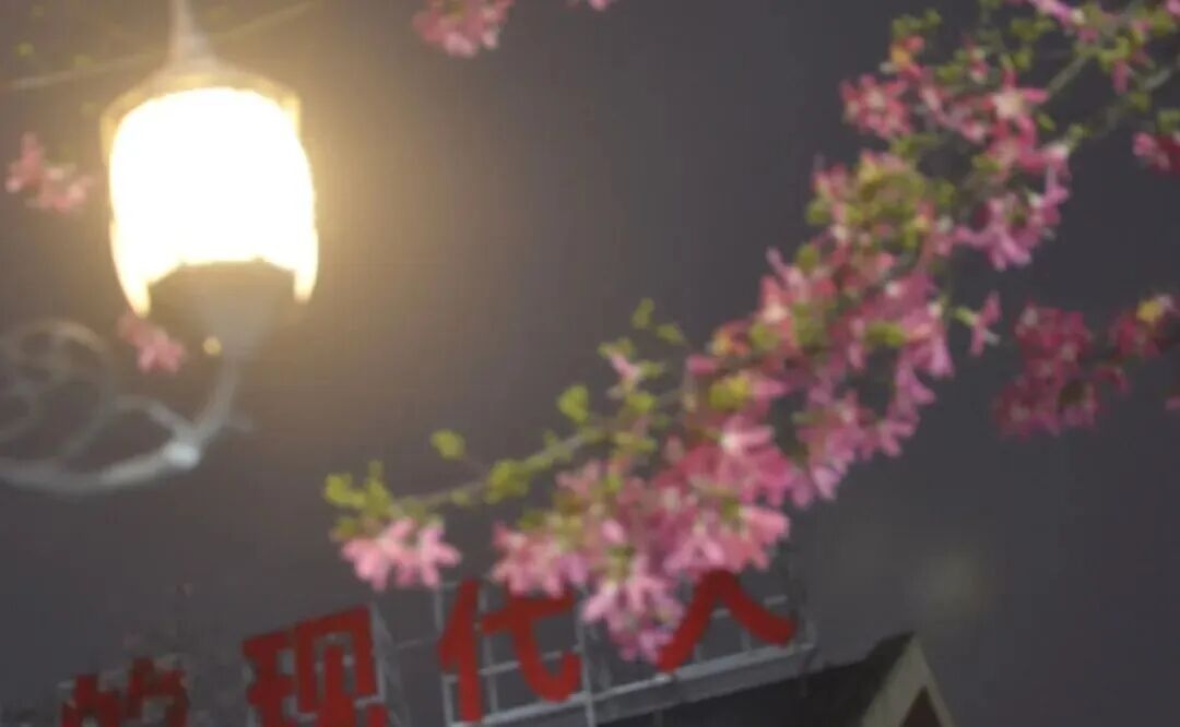 ͼƬ